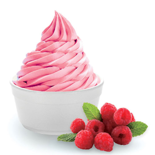 Søjle jurist lejr N2 Frozen Yogurt Mix - Sugar Free - Dairy Free