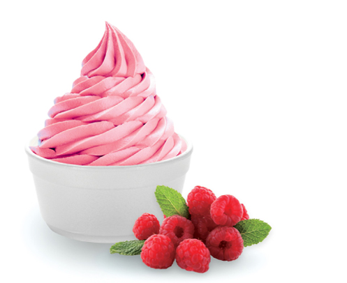 Image result for frozen yogurt pic