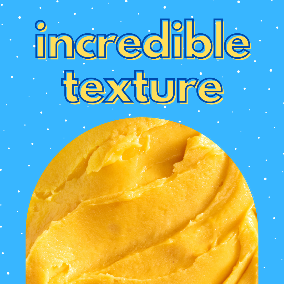 Ice Cream Mix Sorbet Vegan - AussieBlends